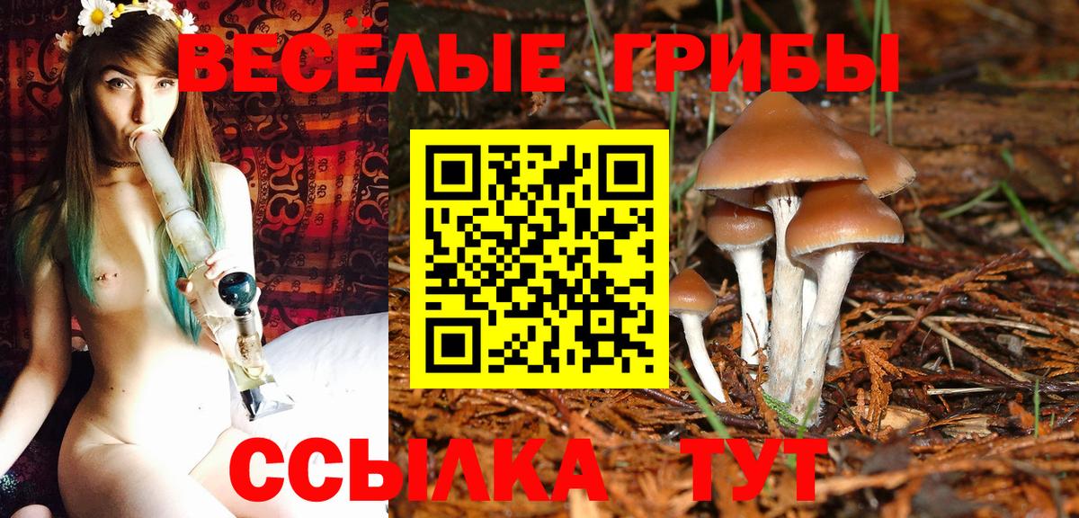 Пенза  Псилоцибиновые грибы MAGIC MUSHROOMS  Вход с VPN 
