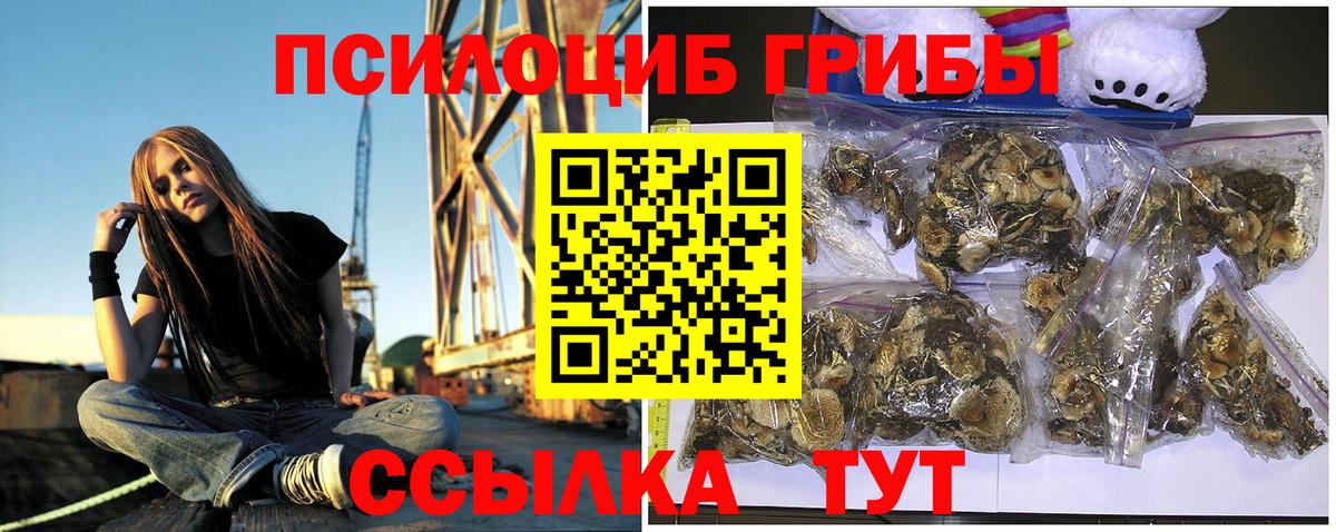 Псилоцибиновые грибы Psilocybine cubensis Пенза