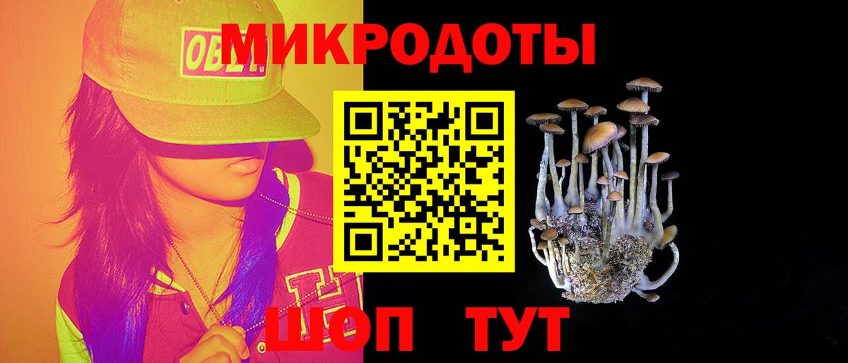 Галлюциногенные грибы GOLDEN TEACHER  как найти закладки  Пенза 